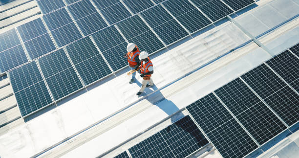Best Roof Moss and Algae Removal  in Eden, TX